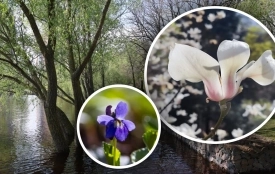 Буде сухо, сонячно та тепло — до +17 градусів