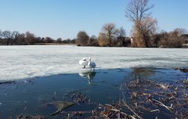 Вінниччина буде під впливом гребеня антициклону: про погоду на тиждень