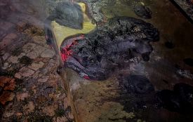 Згорів матрац та кімната у кіптяві: на Вінниччині ледь не сталася трагедія через куріння