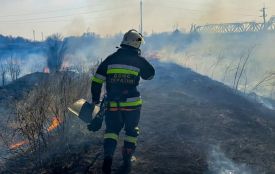 В області знову горить в екосистемах: лише за добу — понад 12 гектарів попелу