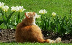 Температура повітря буде поступово підвищуватися: про погоду на тиждень