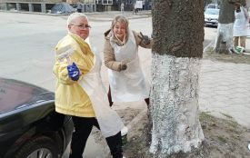 Козятин виходить на велике прибирання: приєднуйтесь до весняної толоки