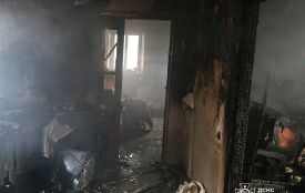 Подружжя пенсіонерів загинуло під час пожежі на Козятинщині