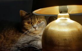 У Вінницяобленерго оновили графіки погодинних відключеннь електроенергії