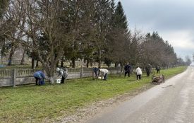 Долучилися нові мешканці громади: у Білопіллі люди зібралися на толоку