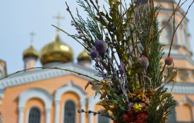 Вербна неділя: чому українці замість пальмових гілок несуть до храму вербу