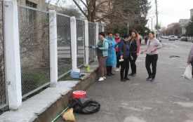 Вийшли на прибирання і по особливому причипурили каштани закоханих