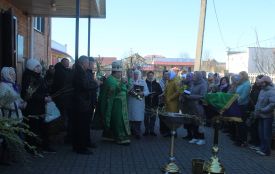 «Будь великий, як верба, а здоровий, як вода», З Вербною неділею
