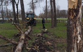 На стадіоні у Козятині від вітру тріщать дерева. Просять утриматися від прогулянок