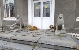 Аварійний РБК зацікавив інвесторів більше, ніж стоматцентр