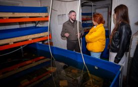 Ветеранський бізнес: на Вінниччині працює інноваційна креветкова ферма