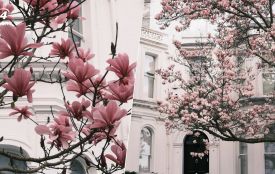 «На тижні заморозки відступлять, дні стануть теплішими, сонечка побільшає»