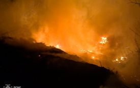 На Вінниччині зросла кількості пожеж в екосистемах