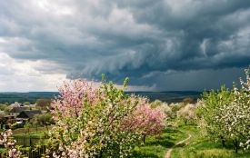 Температурні гойдалки: коли чекати +18, а коли діставати парасольки та теплі куртки