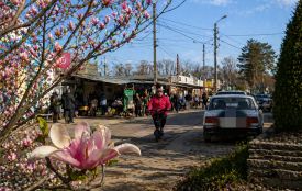 Кросворд «Весна в Козятині»