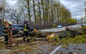 Повалені дерева та заблоковані траси: як рятувальники Вінниччини боролися зі стихією