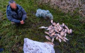 Мешканець району заплатить понад 80 тисяч за сітку карасів