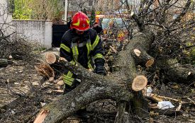 Дерева падали на машини та будинки: як область пережила руйнівний шторм