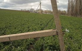 «Світла немає уже більше доби. Скільки ще його не буде — невідомо»