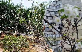 Вночі ще будуть заморозки. Вдень теж прохолодно. Розповідаємо про погоду на тиждень