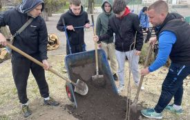 Подвір’я Глуховецького ліцею змінюється. Тут висадили сакури та катальпи