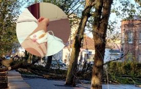 «Я встиг зробити ще кілька кроків». Поговорили з козятинчанином, на якого впав каштан