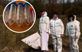 Рання активність кліщів: у чому причина і коли пік