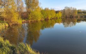 «Природа прокидається: Талимонівка розквітає на очах»