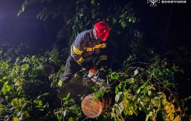 Відкачували воду та прибирали повалені дерева: про ліквідацію наслідків негоди на Вінниччині