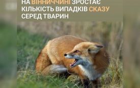 Кількість випадків сказу серед тварин зростає. Наш район — на  другому місці