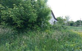 Землю в центрі села Козятина продають під комерцію