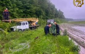 Був посилений режим: як енергетики Вінниччини повертали світло жителям області після негоди