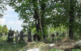 На кладовищі будуть різати дерева
