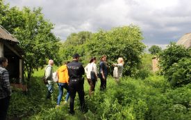Мешканка села Козятин поскаржилася на сусіда, що тримає бджіл. Як вирішили це питання?