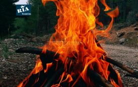 Не паліть траву: на Вінниччині нагадали, яке покарання чекає на порушників