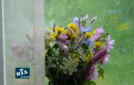 Яу погоду прогнозують на Вінниччині у найближчі п'ять днів? ПРОГНОЗ