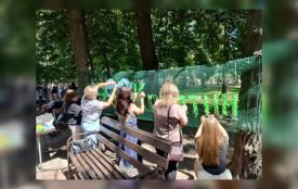 Оновлення Алеї Слави, фестиваль, спортивні матчі: повідомили програму заходів до Дня Козятина