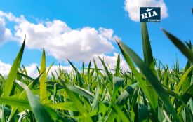 Синоптики розповіли, коли на Вінниччині знову потеплішає до +30°