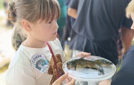 Ловили сомів, карасів і плотву: Сімейний фестиваль «Сомик» зібрав козятинців на Водокачці