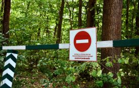 На Вінниччині лісівники працюють у посиленому режимі