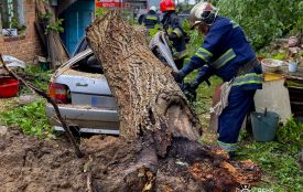 Дерево впало на автівку через негоду у нашому районі