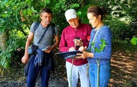 Майже сорок унікальних старовікових дерев виявили у лісі під Зозулинцями