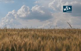 Опади та тепло: як липнева погода змінила стан посівів у Вінницькій області