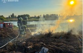 Пожежі в екосистемах: горіло і в нашому районі