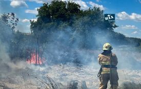 Вогонь випалив понад 4 гектари землі на Вінниччині
