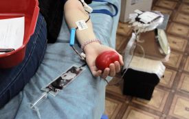 У Козятині відбудеться день донора