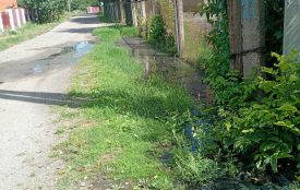 Аскариди у нашій водокачці з'являються завдяки байдужості чиновників