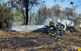У Сестринівці вогонь із відкритої території перекинувся на господарську споруду та знищив її
