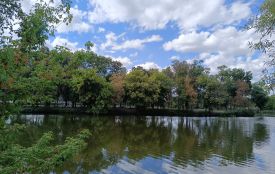 Кросворд про козятинський стадіон