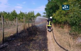 За добу на Вінниччині вигоріло понад 10 гектарів